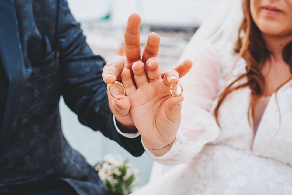 Wildlife Bodas Valencia