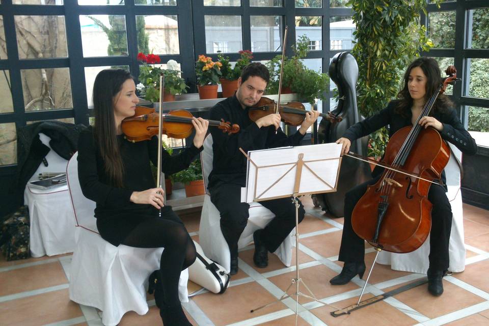 Trío para ceremonias civiles