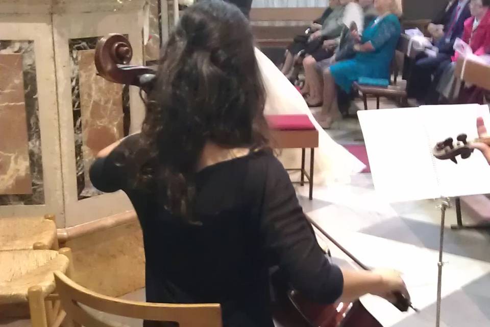 Violín