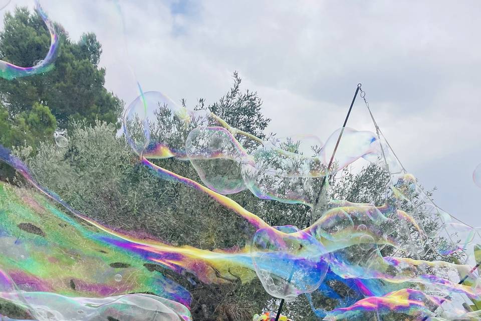 Bubble Show Outdoors