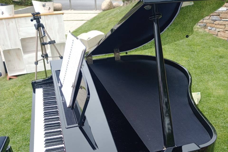 Boda exterior con piano de col