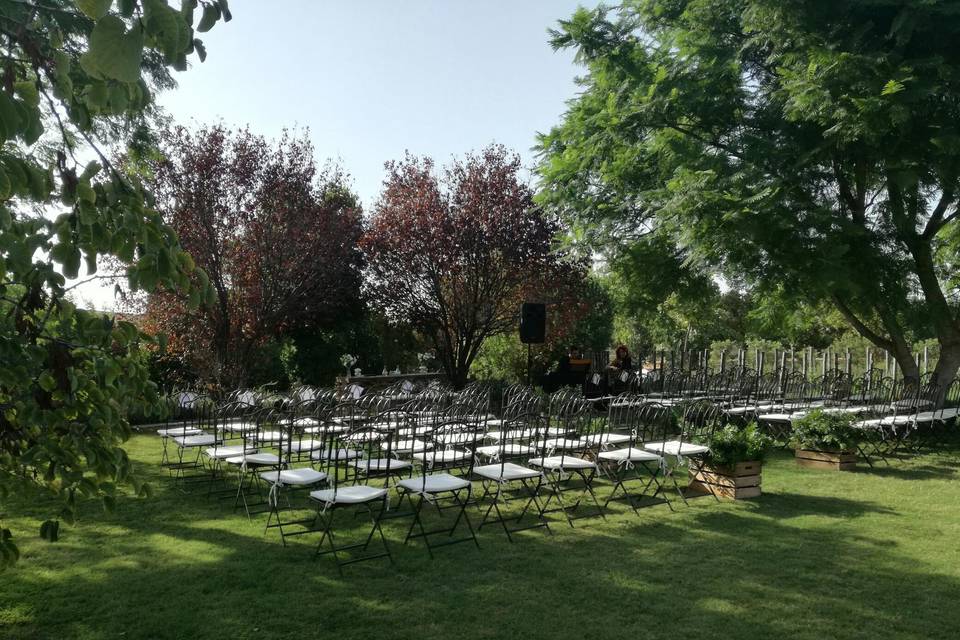 Teresa Cano - Oficiante de Ceremonias