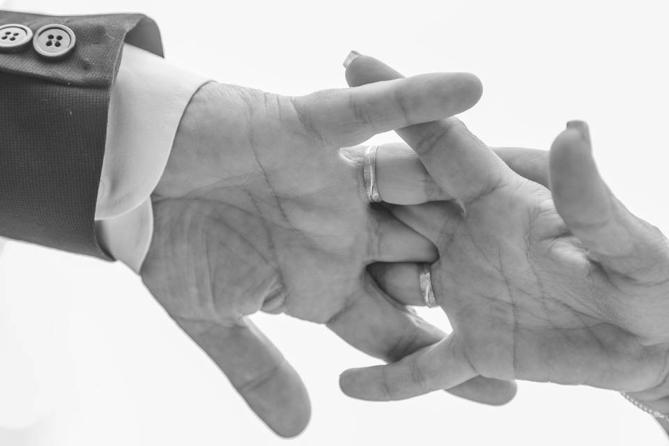 Anillos