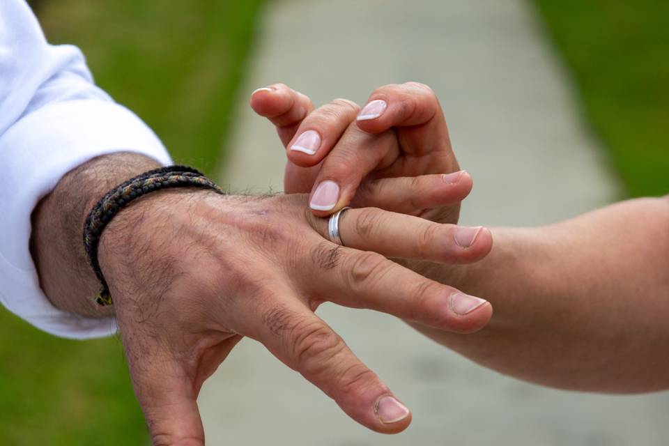 Anillos