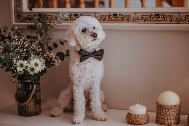 Inlove Studio Fotografía