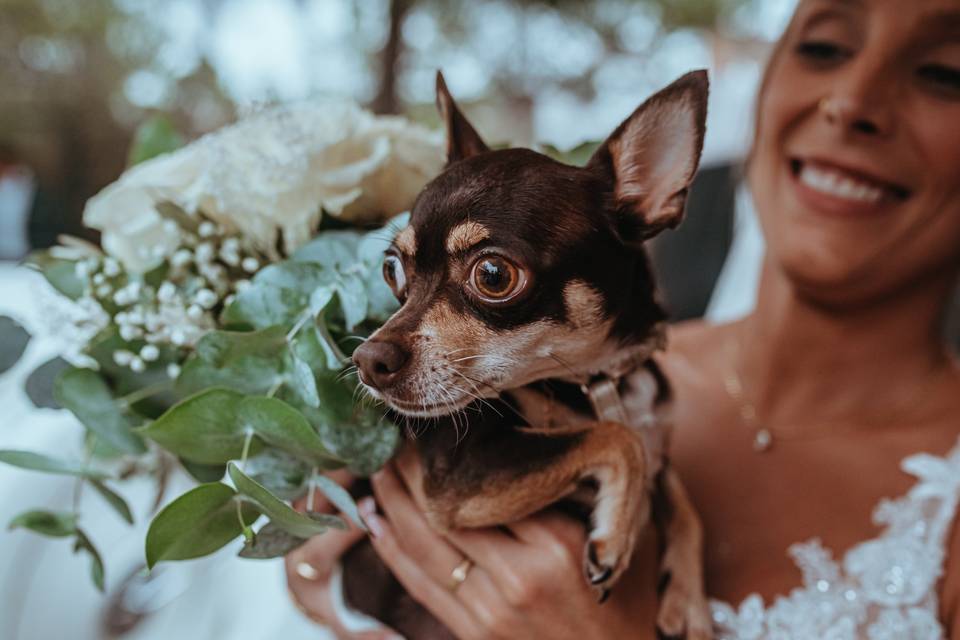 Inlove Studio Fotografía