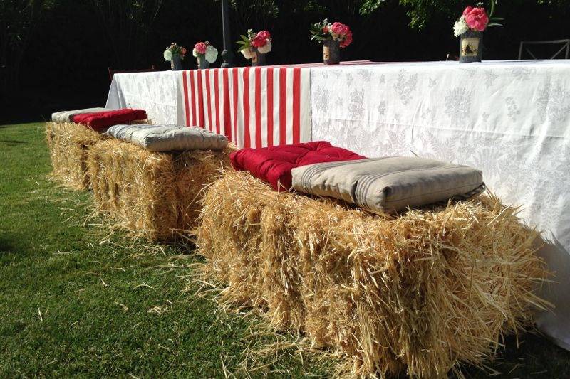 Boda entre olivos