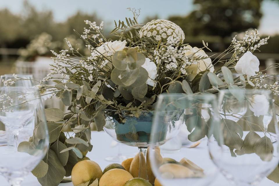 Fotógrafo de bodas en La Rioja