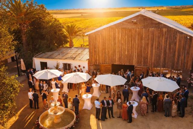 Recepción tipo coktel de tarde