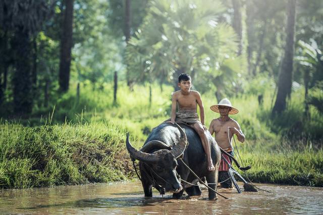 Vietnam