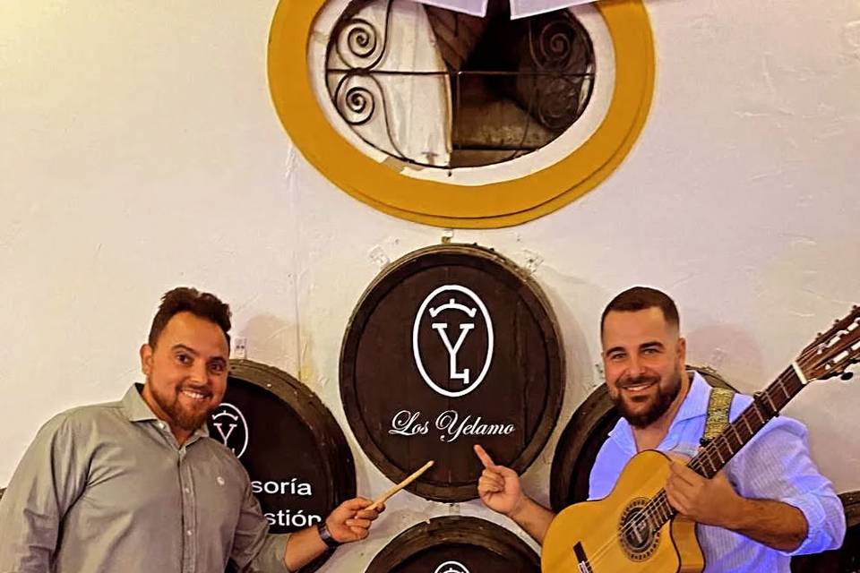 Músicos profesionales