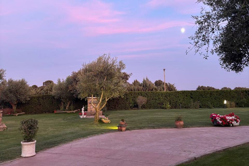 Atardecer jardín