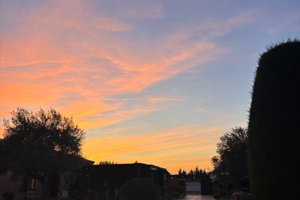 Atardecer jardín