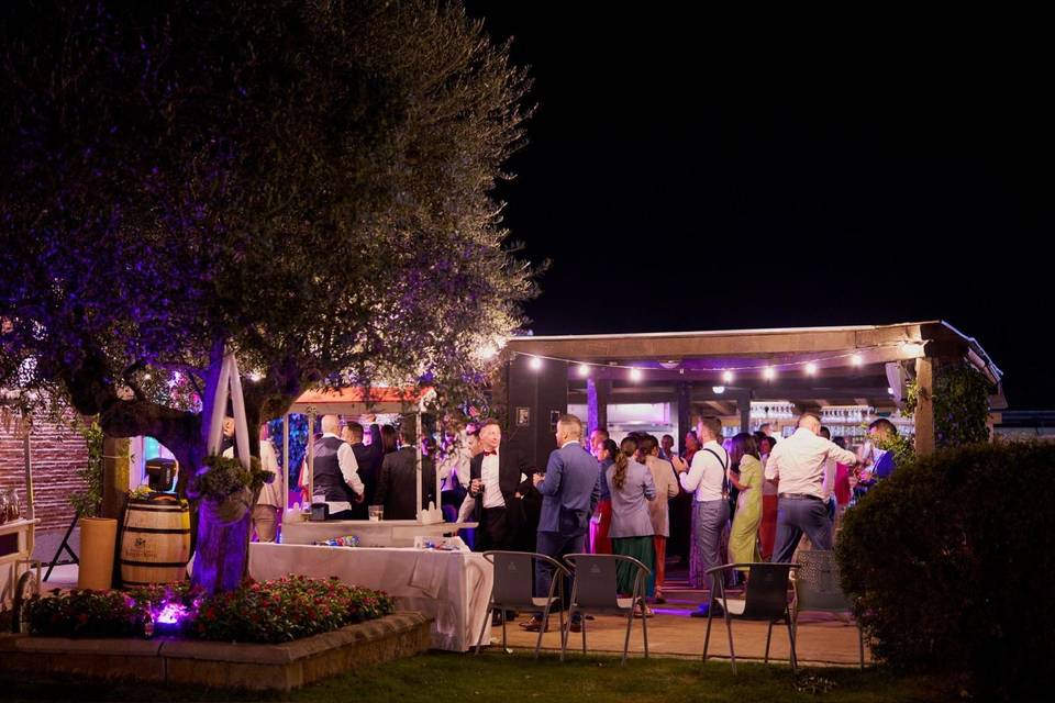 Noche en el jardín