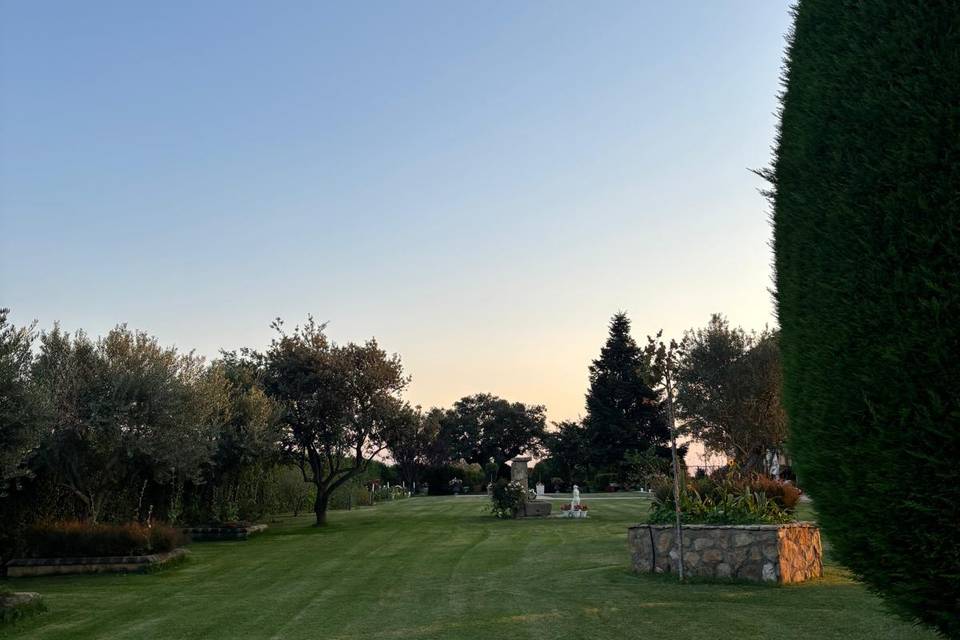 Jardin VII