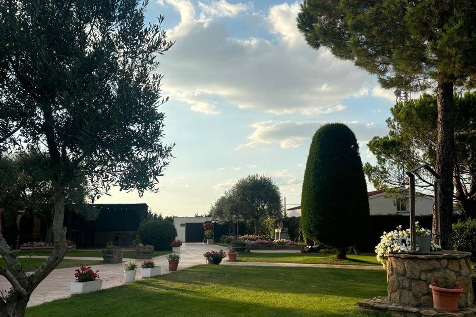 Jardin VI