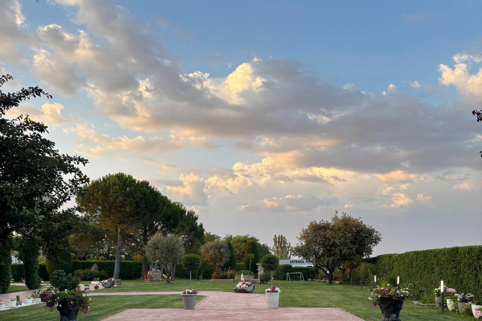 Jardin IV
