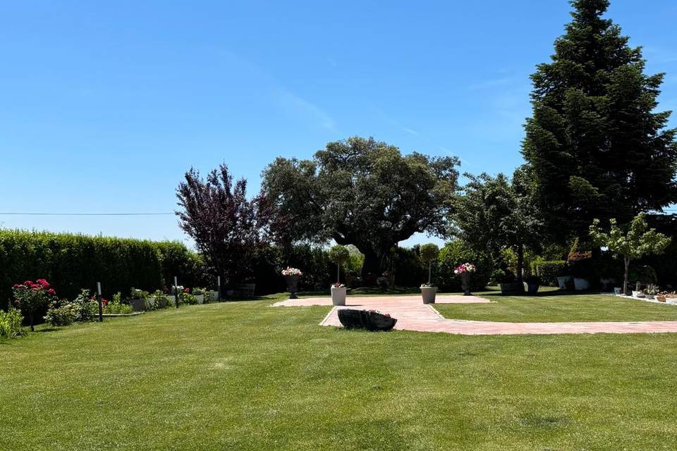 Jardin V