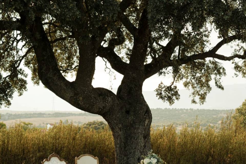 Montaje Boda Civil