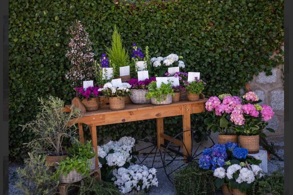 Jardines