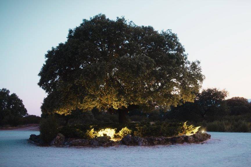 Iluminacion de jardines