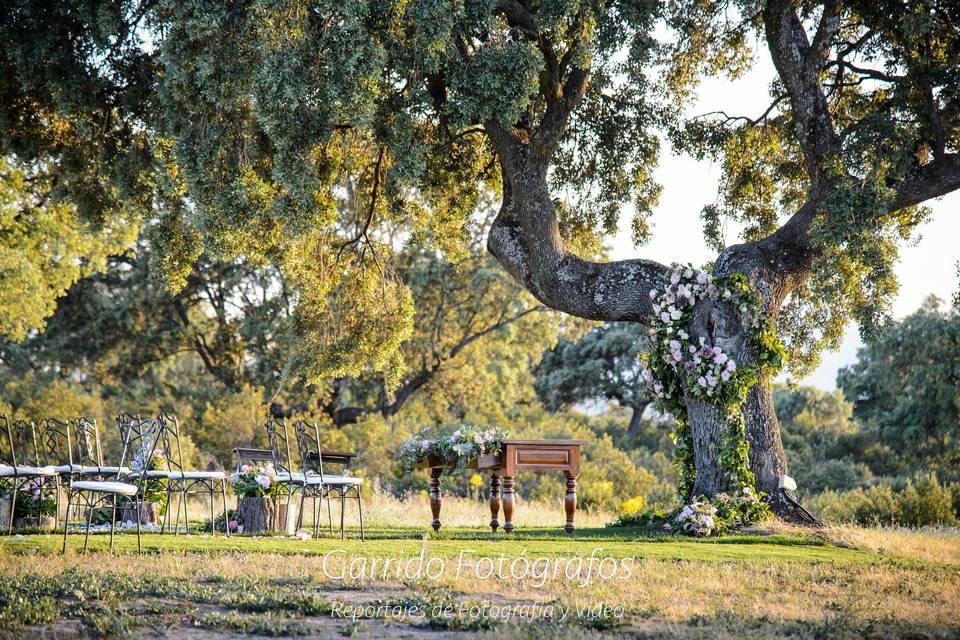 Finca el Hormigal