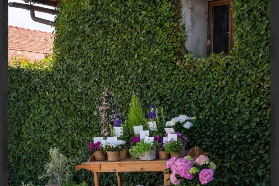 Jardines