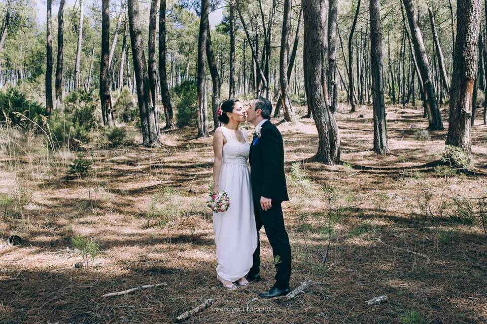 Boda arenas de san pedro