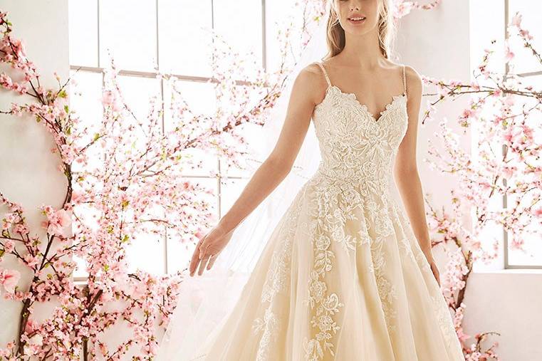 GINGER-St. Patrick La Sposa