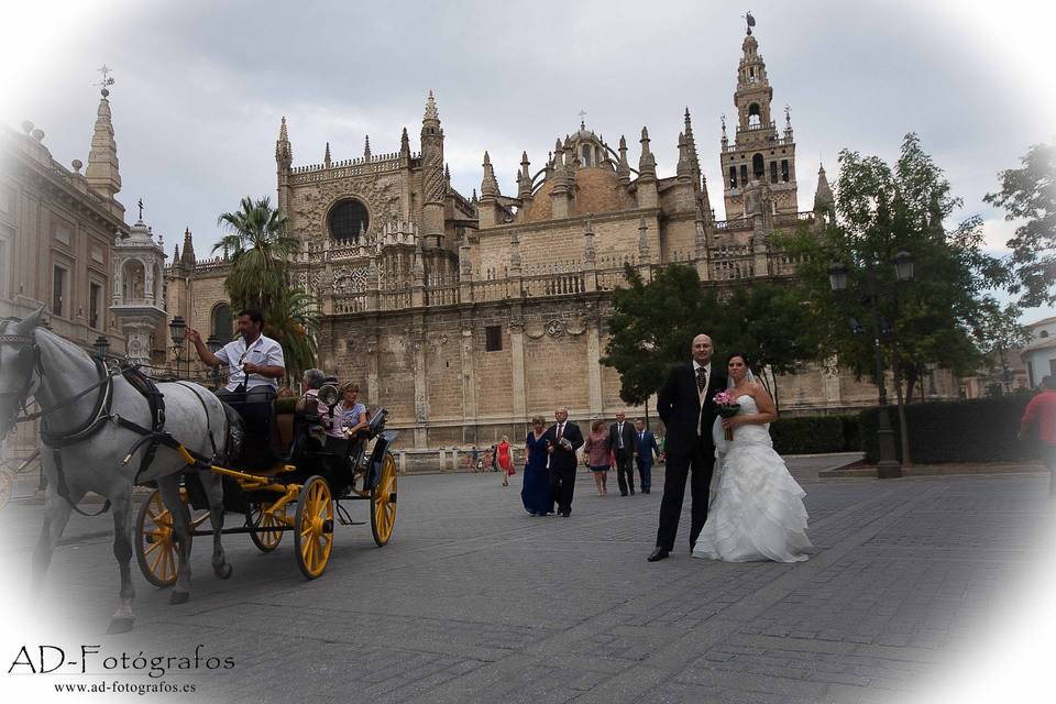 Novios y coche de caballos