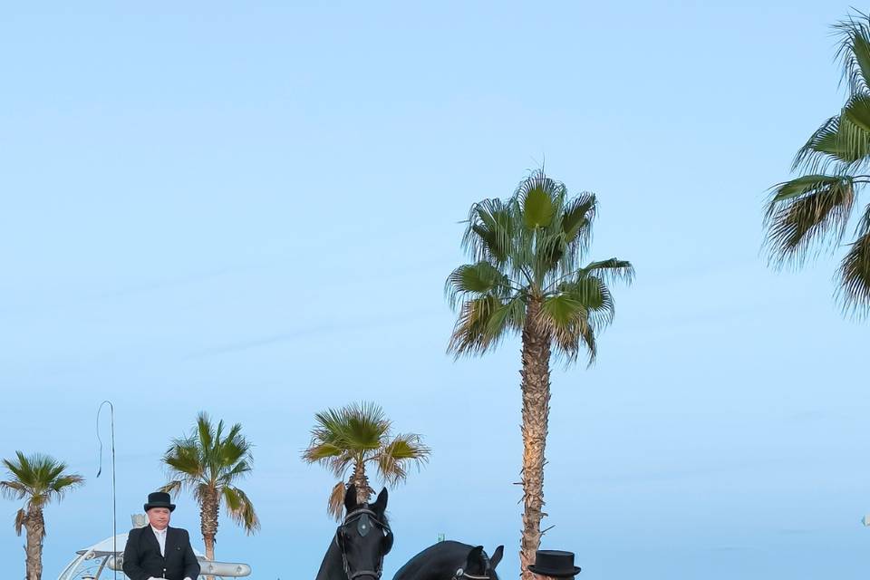 Celebraciones en la mar