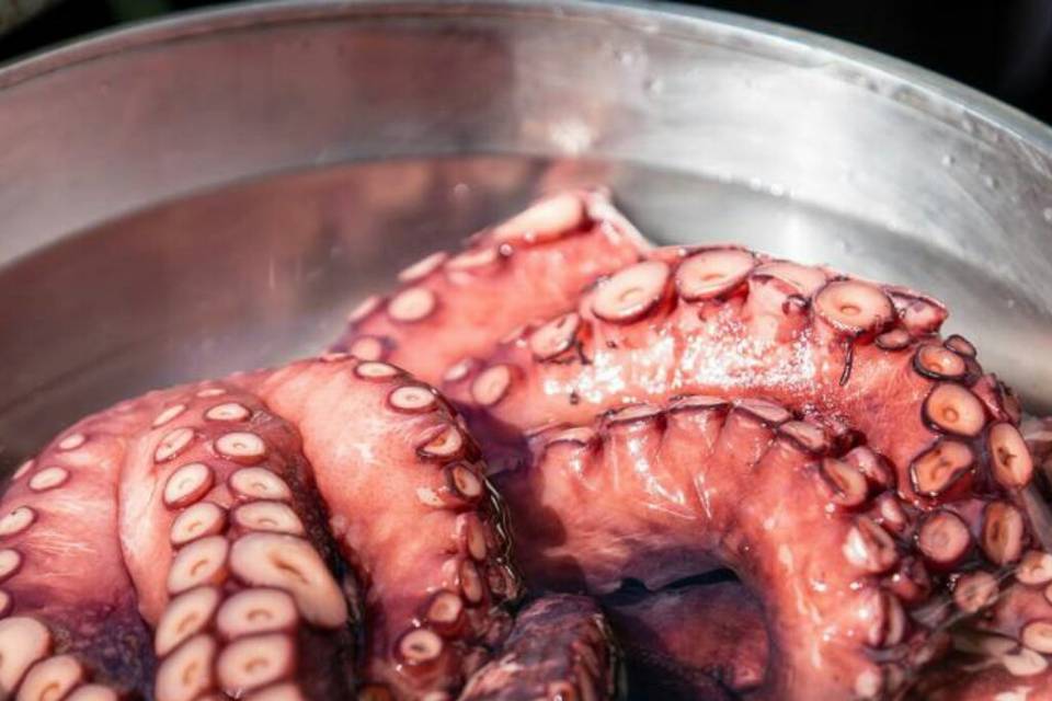 Pulpo