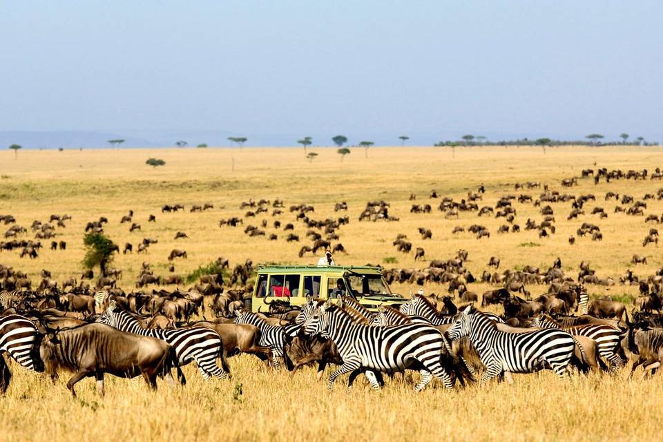 Safari Kenia y Tanzania