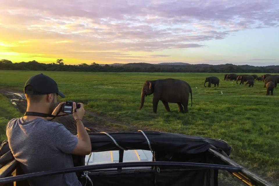 Viaje de novios a Namibia