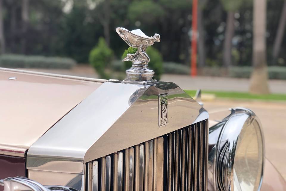 Rolls-Royce Silver Wraith fron