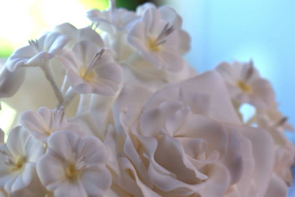 White blooms