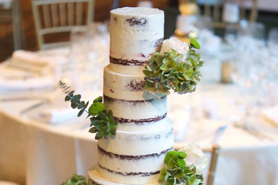 Suculenta Wedding Naked Cake