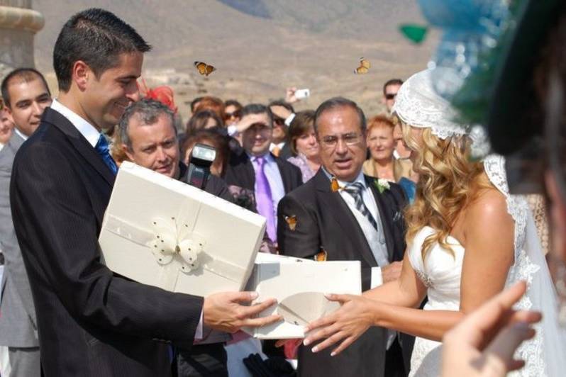 Mariposas en boda civil