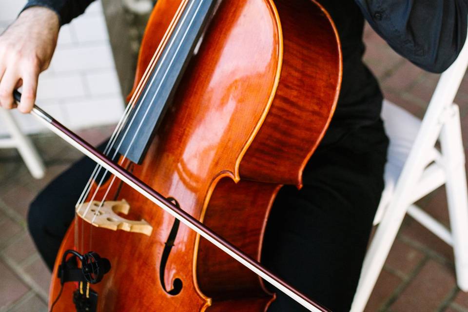 Nuestro cellista Dani