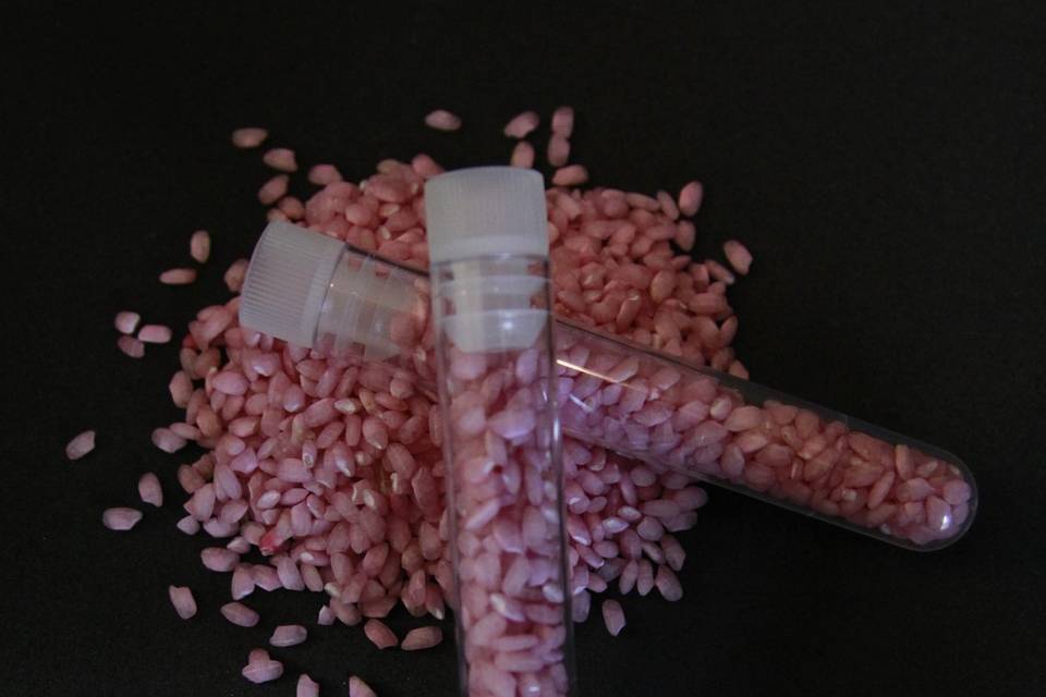 Arroz rosa en tubo