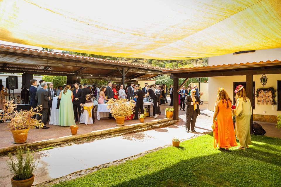 Boda