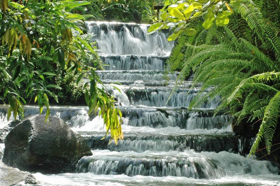 Lugares llenos de naturaleza