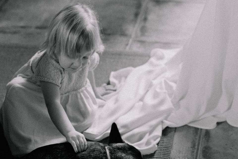 Som petfriendly!