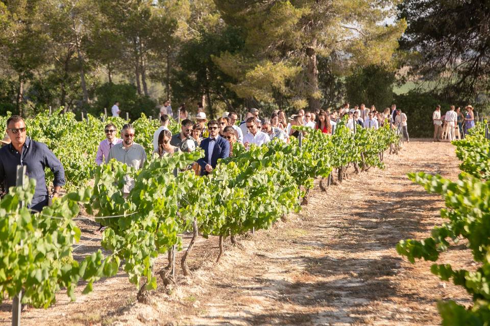 Camí a ceremonia