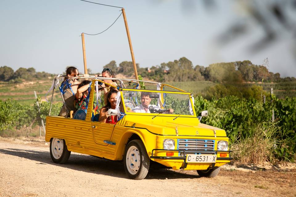 Citroen Mehari