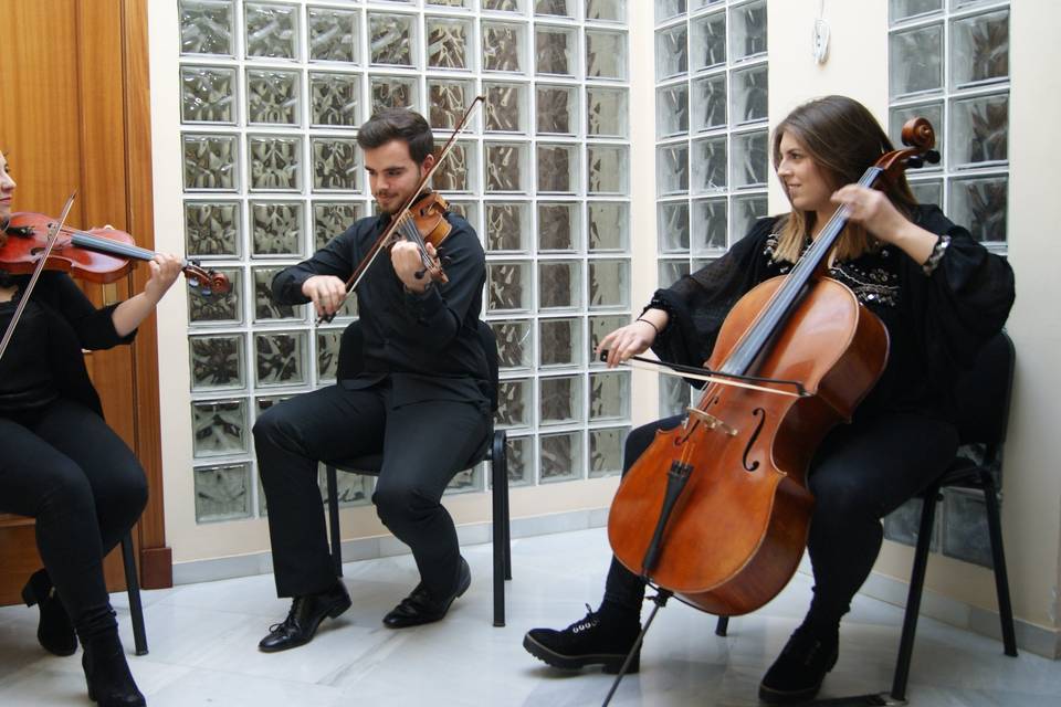 Grupo tocando madera