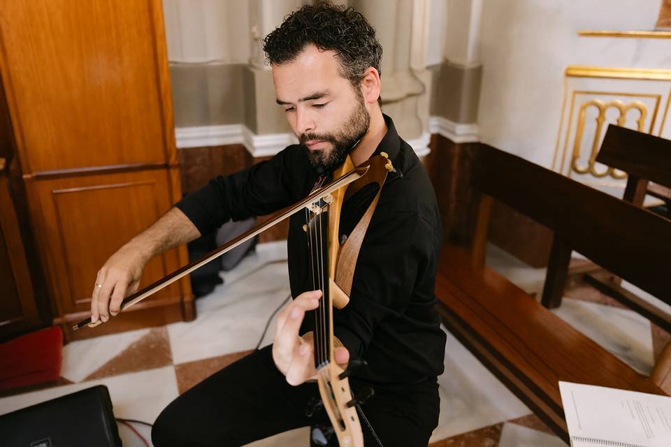 Violín