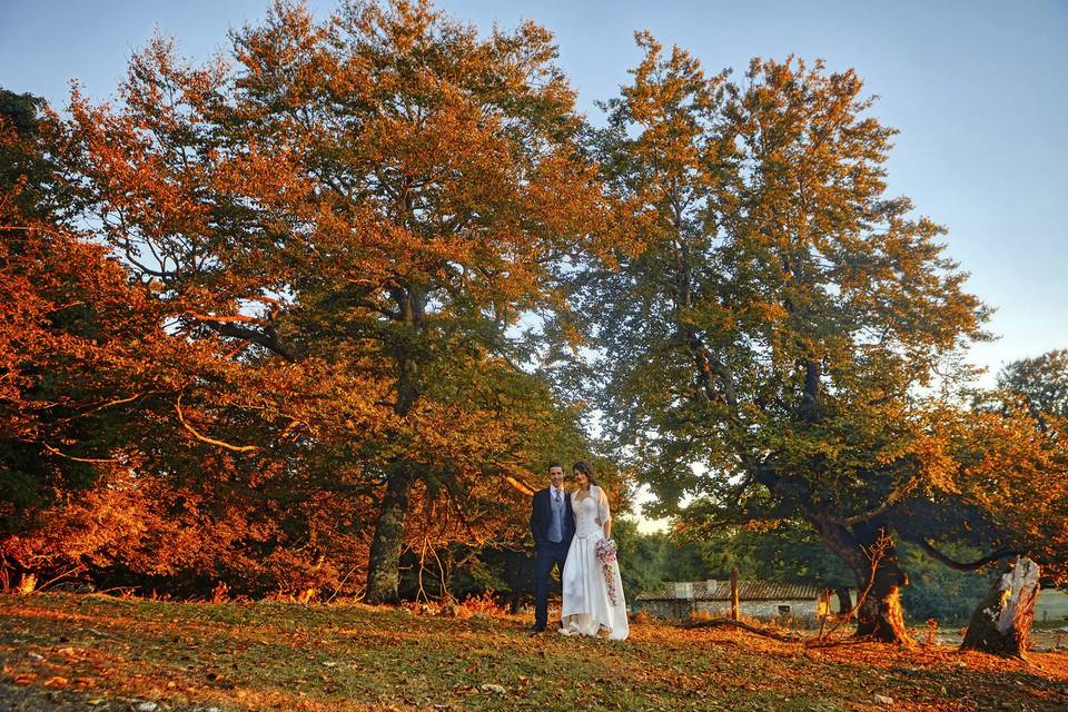 Otoño de boda