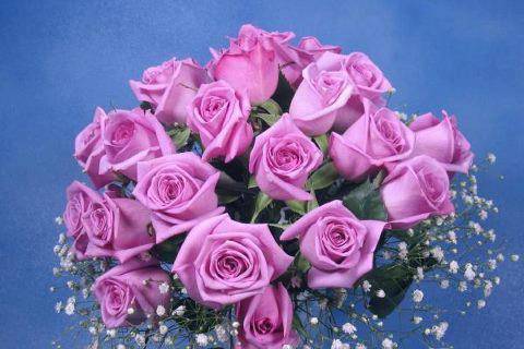 Bouquet Rosas Rosas