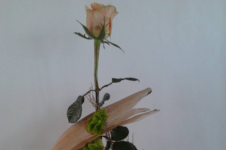 Rosa decorada